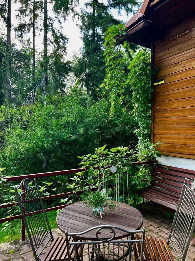 Domek Pod Modrzewiem Nowy Targ Ngoại thất bức ảnh